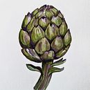 Mi Proyecto del curso: Ilustración botánica con acuarela. Un progetto di Illustrazione tradizionale, Belle arti, Pittura, Disegno, Pittura ad acquerello e Illustrazione botanica di mathius_wilder - 10.08.2021