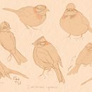 Mi Proyecto del curso: Introducción a Procreate . Ilustrație tradițională, Desen, Ilustrație digitală, Desen digital și Pictură digitală de Anto Rivera Callejón - 08.13.2021