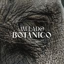 Mi Lado Botánico. Ilustração tradicional, Direção de arte, Br, ing e Identidade, e Design gráfico projeto de Julián Andrés Carvajal Zapata - 10.08.2021