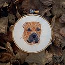 Holifild . Un proyecto de Bordado, Artesanía, Bellas Artes, Dibujo e Ilustración tradicional de Raissa Russo - 13.08.2021
