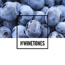 The Winetones. Een project van  Br, ing en identiteit,  Art direction y Packaging van Mateo Parrilla - 14.08.2021