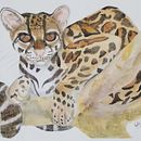 Mi Proyecto del curso: Ilustración científica de animales en acuarela. Traditional illustration, Watercolor Painting, Realistic Drawing, and Naturalistic Illustration project by Rusby G. Contreras-Díaz - 08.14.2021