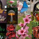 My project in Digital Fantasy Portraits with Photoshop course. Ilustração tradicional, Desenho, Ilustração digital, Desenho de retrato, Desenho digital, e Pintura digital projeto de Marcos Vinicius Garcia - 14.08.2021