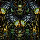 Mi Proyecto del curso: Ilustración científica aplicada al diseño de patrones. Ilustração tradicional, Pattern Design, Ilustração digital e Ilustração naturalista projeto de Julián Andrés Carvajal Zapata - 09.08.2021