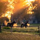 Proyecto Amaneceres (Revelado RAW con Lightroom Classic). Un projet de Photographie, Postproduction photographique, Retouche photographique, Photographie numérique, Photographie artistique , et Photographie extérieure de Sergio Jareño - 14.08.2021