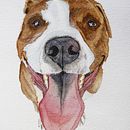 My project in Expressive Animal Portraits in Watercolor course . Ilustrație tradițională, Pictură în acuarelă, Desen realist & Ilustrație naturalistă de Alexandre Guterres - 08.16.2021