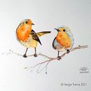 Il mio progetto del corso: Acquerello artistico per illustrazione di animali: gli uccelli . Ilustrasi tradisional, Lukisan Cat Air, Gambar Realistis & Ilustrasi Naturalistik proyek oleh Sergio G. M. Trama - 08.16.2021