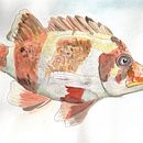 My project in Artistic Watercolor Sketching: Dare to Express Your Ideas course. Traditional illustration, Sketching, Creativit, Drawing, Watercolor Painting, and Sketchbook project by Jim Kelly - 08.16.2021
