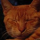 Fragments of my mind. Projekt z dziedziny Fotografia, Trad, c i jna ilustracja użytkownika Valentina Fassetta Peñaloza - 17.08.2021