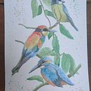 My project in Artistic Watercolor Techniques for Illustrating Birds course. Projekt z dziedziny Trad, c, jna ilustracja, Malowanie akwarelą, R, sunek realist, czn, Ilustracja naturalist i czna użytkownika Laura Magnani - 17.08.2021