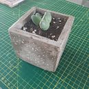 Maceta de concreto. Un proyecto de Paisajismo y Diseño de interiores de Jaime Flores Pamo - 16.08.2021