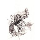 Animaux réalistes au crayon. Traditional illustration project by Justine Michel - 08.19.2021