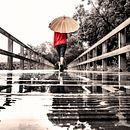 Meu projeto do curso: Pós-produção de imagens poéticas no Photoshop. Een project van Fotografie, Fotografische postproductie, Retoucheren van foto's, Digitale fotografie y Kleurcorrectie van Mafalda de Castro - 18.08.2021