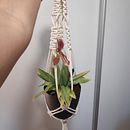 Suporte para vasos. Un proyecto de Diseño de complementos, Artesanía, Decoración de interiores, Tejido y Macramé de Sílvia Pereira - 19.08.2021