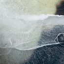 Mon projet du cours : Photographie hybride pour l'expérimentation créative Ein Projekt aus dem Bereich Fotografie, Fotoretuschierung, Artistische Fotografie, Analogfotografie und Fotografisches Selbstporträt von Caroline Tremblay - 19.08.2021