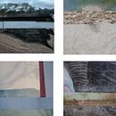 Axis. Un projet de Photographie artistique, Photographie numérique , et Beaux Arts de Guilherme Serra - 20.08.2021