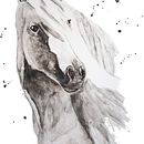 Horse Tone Project . Lukisan Cat Air proyek oleh Sarah Hutchison - 08.20.2021