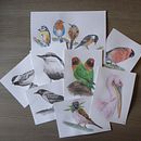 My project in Artistic Watercolor Techniques for Illustrating Birds course . % an_baeyens tarafından hazırlanan Geleneksel illüstras, on, Sulubo, a Resim, Gerçekçi Çizim, Doğalcı İllüstras, Ve on projesi - 08.20.2021