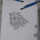 Animal Drawings Xamã. Traditional illustration project by Jessica Batista - 08.19.2021