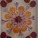 Mi Proyecto del curso: Técnicas básicas de prensado botánico. Un projet de Artisanat, Collage, DIY, Art floral et végétal , et Beaux Arts de Estrella Ossorio Moreno - 18.08.2021