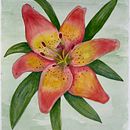Mi Proyecto del curso: Acuarela botánica: ilustra la anatomía de las flores. Un proyecto de Ilustración tradicional, Bellas Artes, Pintura, Dibujo, Pintura a la acuarela e Ilustración botánica de arqvalminetti - 20.08.2021