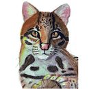 My project in Scientific Illustration of Animals in Watercolor  course. Projekt z dziedziny Trad, c, jna ilustracja, Malowanie akwarelą, R, sunek realist, czn, Ilustracja naturalist i czna użytkownika Camryn DRubio - 21.08.2021