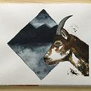 Mein Kursprojekt: Ausdrucksstarke Tierporträts in Aquarell. Projekt z dziedziny Trad, c, jna ilustracja, Malowanie akwarelą, R, sunek realist, czn, Ilustracja naturalist i czna użytkownika Barbara - 21.08.2021