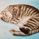 My project in Expressive Animal Portraits in Watercolor course. Un proyecto de Ilustración tradicional, Pintura a la acuarela, Dibujo realista e Ilustración naturalista				 de Frances Walker - 23.08.2021