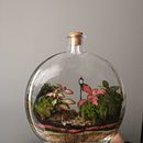 Terrário Encantado. Artesanato projeto de terrario_enc4ntado - 23.08.2021