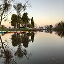 Mi Proyecto del curso: Fotografía y vídeo profesional con tu móvil Ein Projekt aus dem Bereich Smartphonefotografie, Instagram, Fotografie für Instagram, Lifest und le-Fotografie von Mariana Caltieri - 22.08.2021