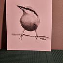 Monochromatic Nuthatch Watercolor Painting- Sarah Stokes Artistic Watercolor Technique. Pintura em aquarela projeto de Donna Paulson - 24.08.2021