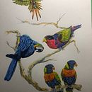 Parrots #2. Un proyecto de Pintura a la acuarela, Bellas Artes e Ilustración naturalista				 de John Keselyak - 25.08.2021