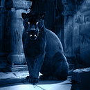 Black Tiger. Photograph, Photograph, Post-production, Photo Retouching, Fine-Art Photograph, Photographic Composition, Photomontage, and VFX project by Majid Alaa Eldeen - 08.25.2021