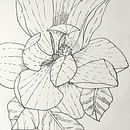 My project in Daily Sketching for Creative Inspiration course. Un proyecto de Ilustración tradicional, Bocetado, Creatividad, Dibujo y Sketchbook de Karen Lee - 26.08.2021