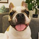 Un día normal siendo Giogia. Un progetto di Scrittura, Creatività, Stor, telling e Narrativa di Alvaro Macías - 24.08.2021