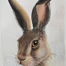 Algunas de mis pinturas. Un progetto di Illustrazione tradizionale di Maritza Oviedo - 10.06.2020