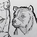 Sketch Jungle Book. Traditional illustration, Sketching, Creativit, Drawing, and Sketchbook project by miguel angel quintero - 08.28.2021
