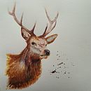 Il mio progetto del corso: Ritratti espressivi di animali ad acquerello. Traditional illustration, Watercolor Painting, Realistic Drawing, and Naturalistic Illustration project by langolodimarina - 08.28.2021