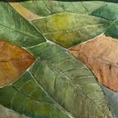 Meu projeto do curso: Técnicas de aquarela negativa para ilustração botânica. Traditional illustration, Watercolor Painting, and Botanical Illustration project by alufcarvalho - 08.28.2021