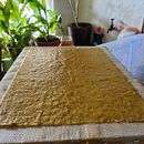 Elaboración artesanal de papel a partir de hojas de Ginkgo Ein Projekt aus dem Bereich H, werk, Bildende Künste, Buchbinderei und DIY von Marc Vila - 29.08.2021