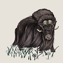 Mein Kursprojekt: Kugelschreiberzeichnungen: Naturalistische Illustration Ein Projekt aus dem Bereich Traditionelle Illustration, Zeichnung, Realistische Zeichnung und Naturalistische Illustration von janinesand - 29.08.2021