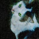 My King with Neon Eyes. Een project van Aquarelschilderen van Tammy Zuniga - 30.08.2021