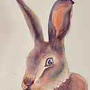 Il mio progetto del corso: Tecniche sperimentali di acquerello per principianti. Projekt z dziedziny Trad, c, jna ilustracja,  Sztuki piękne, Malowanie akwarelą, Ilustracja naturalist i czna użytkownika Cecilia Sarti - 30.08.2021