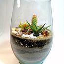 Mi Proyecto del curso: Arte vegetal: crea tu propio terrario abierto . % Tatiana Garzón Zuluaga tarafından hazırlanan İç Tasarım, Pe, zaj Mimarisi, Dekoras, on, Kendin Yap, Ve Çiçek ve Bitki Tasarımı projesi - 08.31.2021