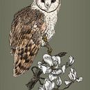 Mi Proyecto del curso: Ilustración naturalista con bolígrafo. Un proyecto de Ilustración tradicional, Dibujo, Dibujo realista e Ilustración naturalista				 de Olivia Fregoso - 27.08.2021