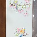 Mi Proyecto del curso: Acuarela artística para ilustración de aves Ein Projekt aus dem Bereich Traditionelle Illustration, Aquarellmalerei, Realistische Zeichnung und Naturalistische Illustration von Lola - 01.09.2021