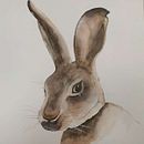 Mi Proyecto del curso: Técnicas experimentales de acuarela para principiantes  Ein Projekt aus dem Bereich Traditionelle Illustration, Bildende Künste, Aquarellmalerei und Naturalistische Illustration von Paula Rosas Condemarin - 31.08.2021