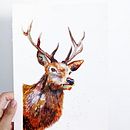 My Project: The Stag. Un projet de Illustration traditionnelle, Aquarelle, Dessin réaliste et Illustration naturaliste de sandralenore - 21.08.2021