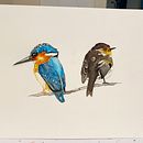 My project in Artistic Watercolor Techniques for Illustrating Birds course . % Pamela Schwartz tarafından hazırlanan Geleneksel illüstras, on, Sulubo, a Resim, Gerçekçi Çizim, Doğalcı İllüstras, Ve on projesi - 09.02.2021