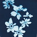 Alchemy . % Anne McCallum tarafından hazırlanan Fotoğrafçılık, Geleneksel illüstras, Ve on projesi - 09.04.2021